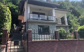 Kral Villa